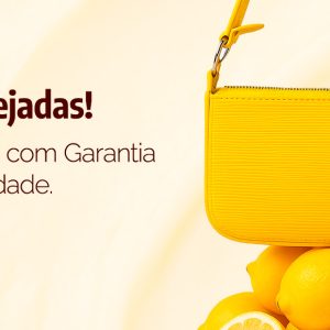 bolsa teste